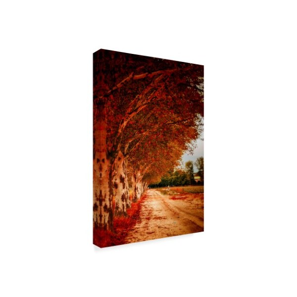 Pixie Pics 'Autumn Paths' Canvas Art,16x24